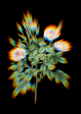 Prism Rosier Pompon Flower