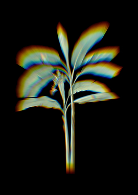Prism Banana Tree