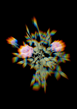 Prism Dwarf Rosebush