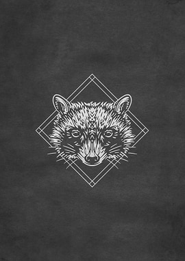 Racoon Forest Animal