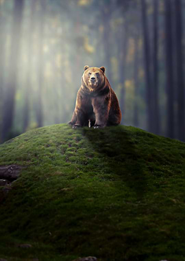 My Nature