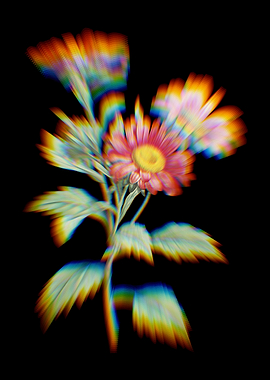 Prism Red Aster Flowers