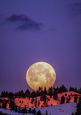 Moon picture vectorial