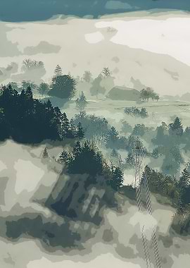 TALL TREES UNDER FOGGY