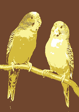 Parrots V14 Pop Art