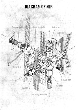diagram of mir