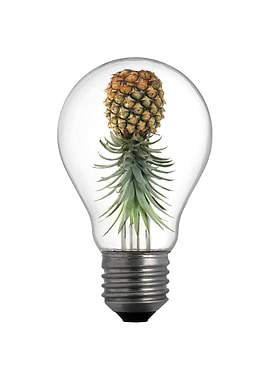 PineappleBulb