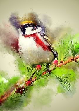 Watercolor Bird Painting