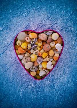 Seashell heart