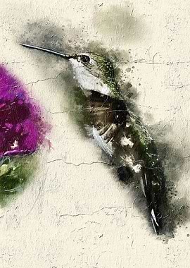 Watercolor Bird Painting