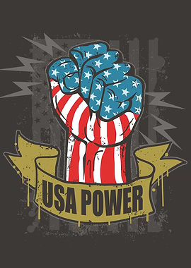 USA Power Flag Fist