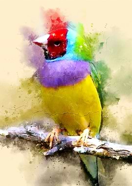 Watercolor Bird Painting