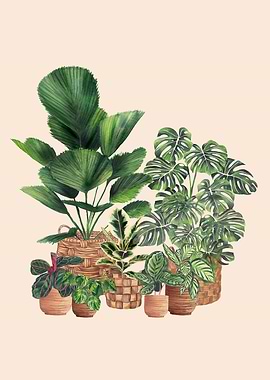 Plant lover illustration