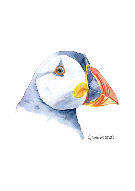 puffin watercolor art