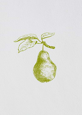 Minimalist Fruit Pear