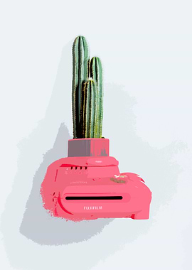 Cactus cam