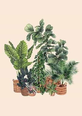 Plants In Pots