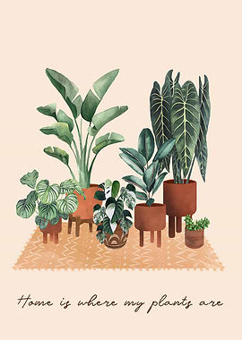 Plants Home