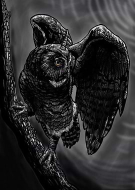 Unicorn Owl
