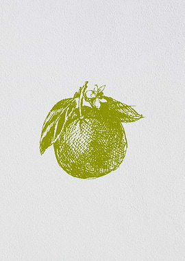 Minimalist Fruit Mandarin