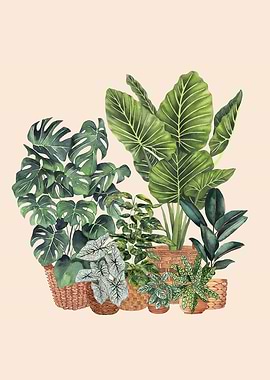 House plants art