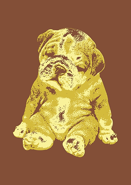 Puppy V6 Pop Art