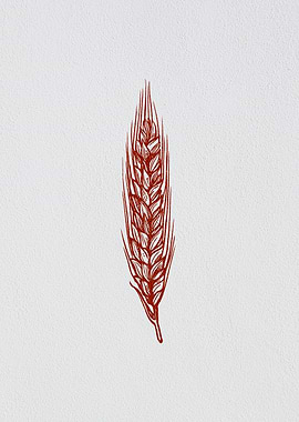 Minimalist Barley Grain