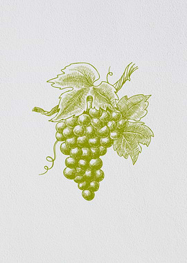 Minimalist Fruit Orange