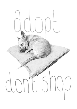 Adopt dont shop