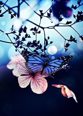 Blue Butterfly on Leaf