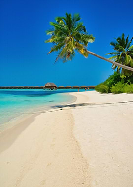 Maldives Sea Ocean Wate