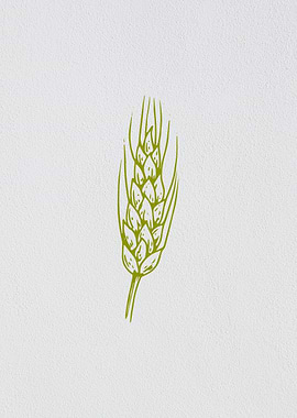 Minimalist Barley Grain