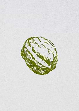 Minimalist Fruit Walnut