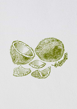 Minimalist Nature Coconut
