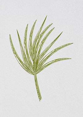 Minimalist Coconut Leaf