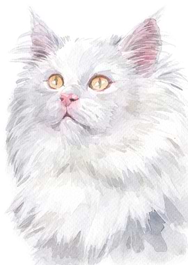 white cat
