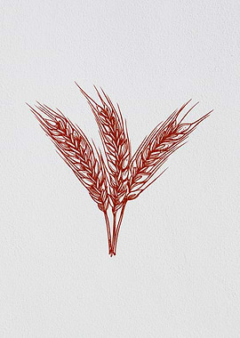 Minimalist Barley Grain