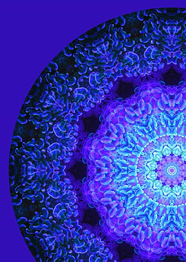 Bioluminiscent Mandala I