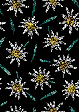 EmbroideredFlowersOnBlac23