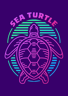 Sea Turtle