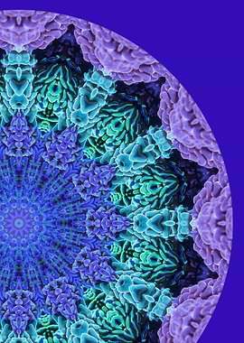 Bioluminiscent Mandala II