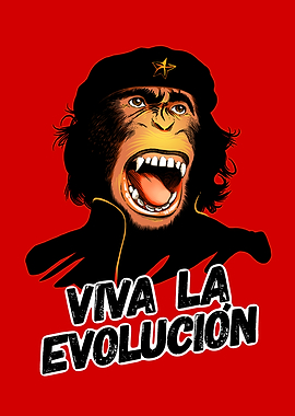 Chimp Che Evolucion