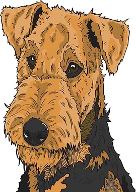Airedale terrier