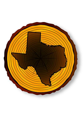 Texas Map On Timber