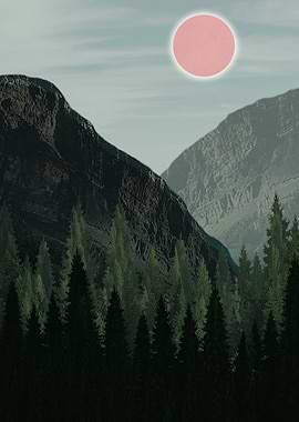 Pine Forest Hills tq