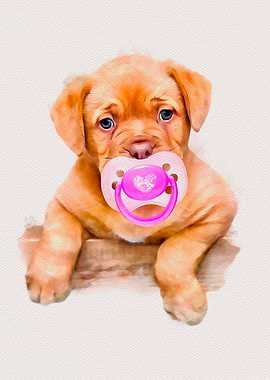 Puppy with pacifier