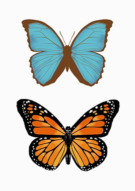 Butterfly Art