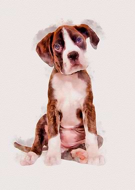 Cute Boxer Puppy