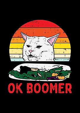 Confused Cat Ok Boomer