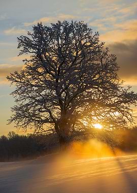 Winter sunrise landscape